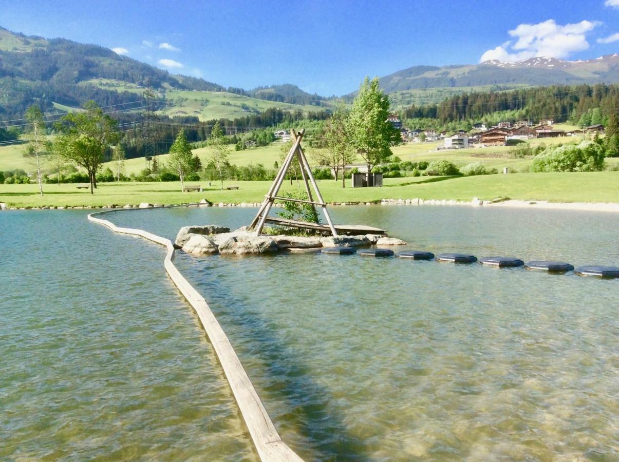 Kitzbuheler Alpen Penthouse Hollersbach Apartment Hollersbach im Pinzgau Exterior photo